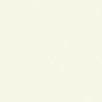 Custom Closets Nashville Tn Colors Holmans Cabinets Antique White